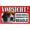 Beagle~0.jpg