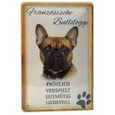 Franzoesische_Bulldogge.jpg